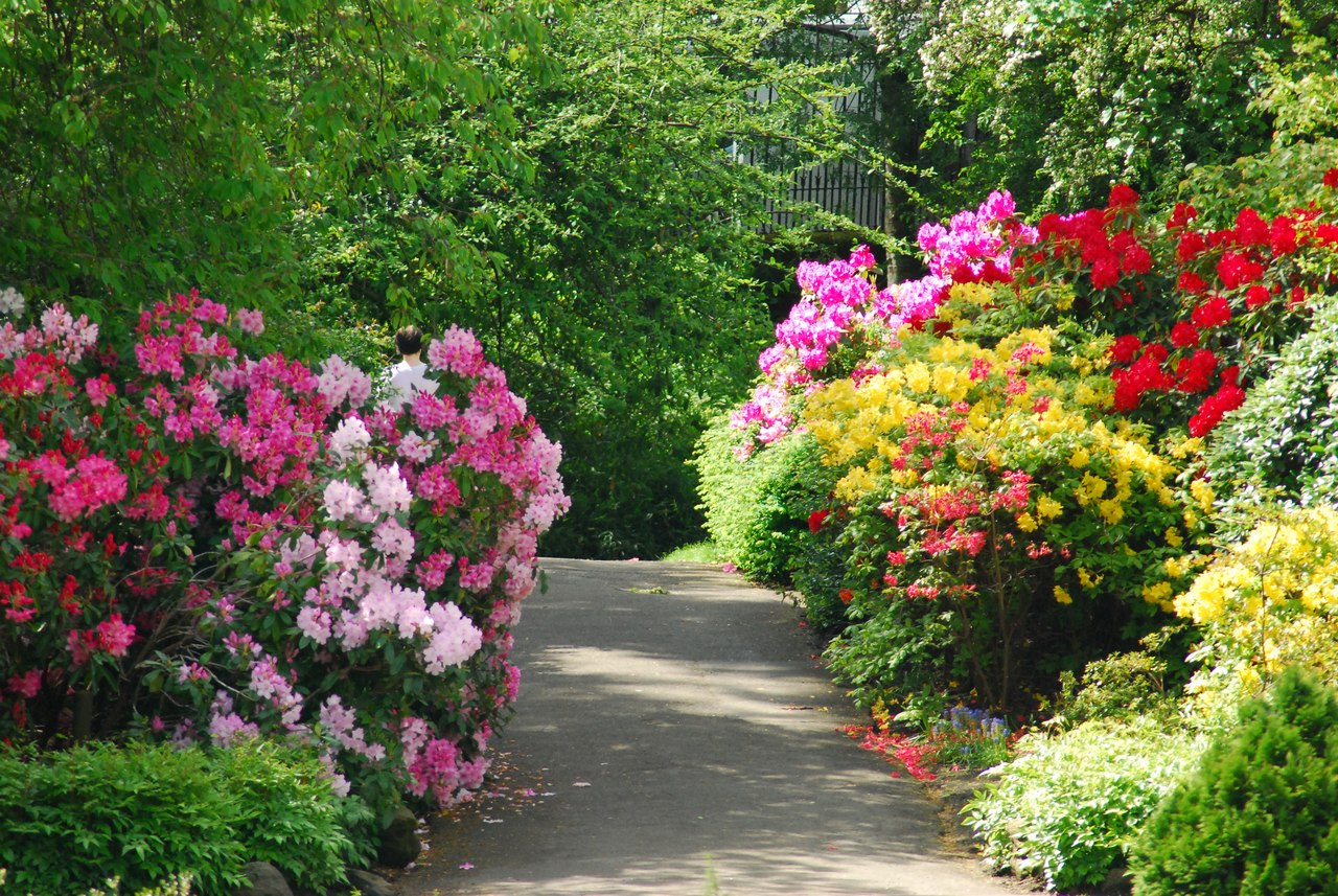 Адрес: ул. Профессора Попова, 2, Санкт-Петербург
Экскурсии по оранжереям проводятся круглый год каждый день, кроме понедельника, с 11:00 до 16:30 часов. Группы формируются по мере подхода посетителей.
Осмотреть коллекции открытого грунта можно с мая по октябрь во все дни недели с 10:00 до 19:00 часов самостоятельно (без экскурсии).
Стоимость билета в парк
Взрослые – 100 рублей
Дети с 4 лет и школьники - 50 рублей
Стоимость билетов в оранжерею:
Взрослые – 300 рублей
Дети с 4 лет и школьники - 150 рублей
Посещение второй оранжереи в тот же день:
Взрослые – 200 рублей
Дети с 4 лет и школьники - 120 рублей
Стоимость посещения второй оранжереи в тот же день - 200 рублей
